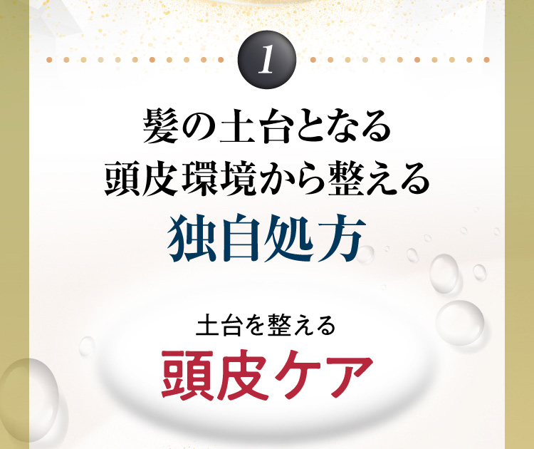1 髪の土台となる頭皮環境から整える 独自処方 土台を整える頭皮ケア