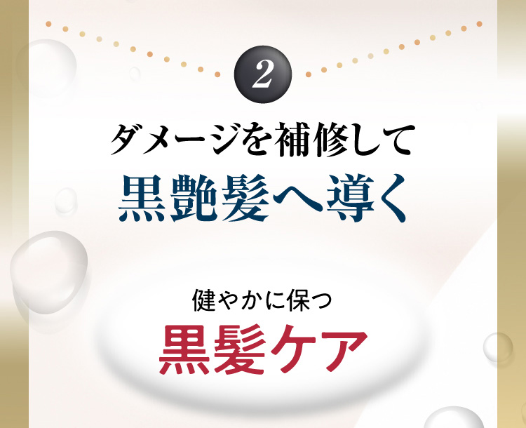 2 ダメージを補修して黒艶髪へ導く 健やかに保つ黒髪ケア
