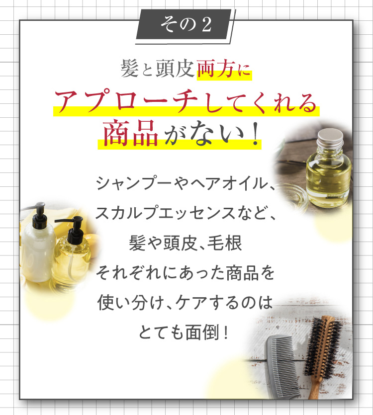 その2 髪と頭皮両方にアプローチしてくれる商品がない！シャンプーやヘアオイル、スカルプエッセンスなど、髪や頭皮、毛根それぞれにあった商品を使い分け、ケアするのはとても面倒！