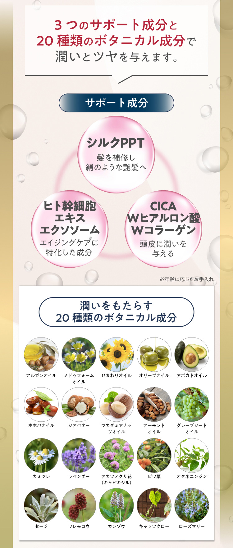 3つのサポート成分と20種類のボタニカル成分で潤いとツヤを与えます。サポート成分 シルクPPT 髪を補修し絹のような艶髪へ ヒト幹細胞 エキスエクソソーム エイジングケアに特化した成分 CICA Wヒアルロン酸 Wコラーゲン 頭皮に潤いを与える ※年齢に応じたお手入れ潤いをもたらす 20種類のボタニカル成分 アルガンオイル メドゥフォームオイル ひまわりオイルオリーブオイル アボカドオイル ホホバオイル シアバター マカダミアナッツオイル アーモンドオイル グレープシードオイル カミツレ ラベンダー アカツメクサ花（キャピキシル）ビワ葉 オタネニンジン セージ ワレモコウ カンゾウキャッツクロー ローズマリー